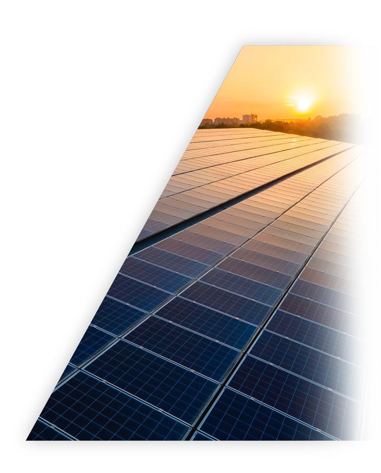 42923acm金牛版·(中国区)官方网站